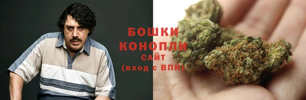 ПСИЛОЦИБИНОВЫЕ ГРИБЫ Алексин