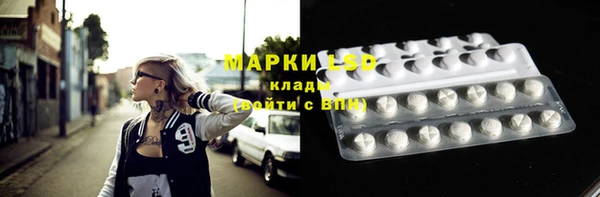 ПСИЛОЦИБИНОВЫЕ ГРИБЫ Алексин