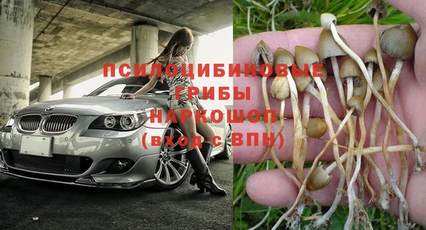 ПСИЛОЦИБИНОВЫЕ ГРИБЫ Алексин