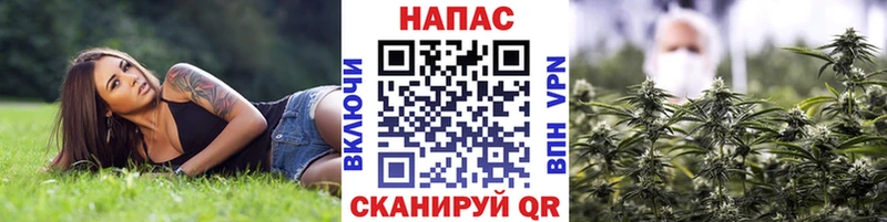 где можно купить   kraken рабочий сайт  Шишки марихуана VHQ  Электрогорск 